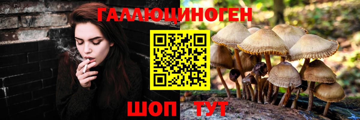 Псилоцибиновые грибы GOLDEN TEACHER Туймазы